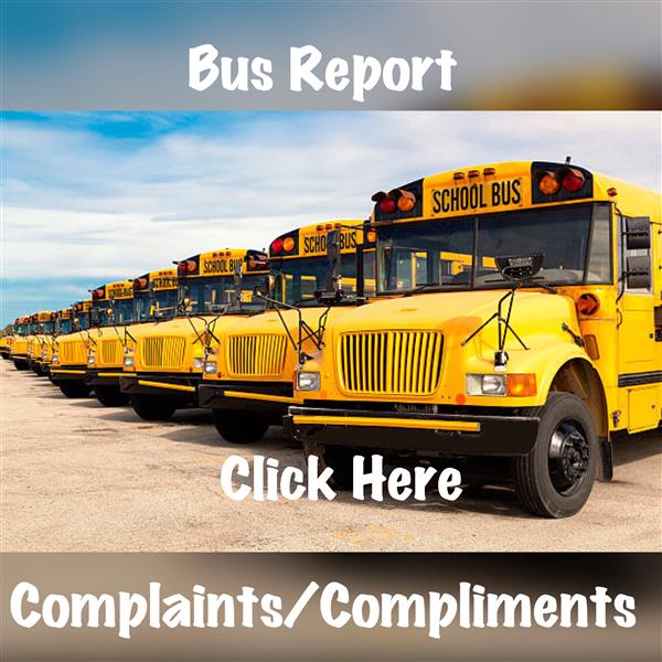 BUS REPORT